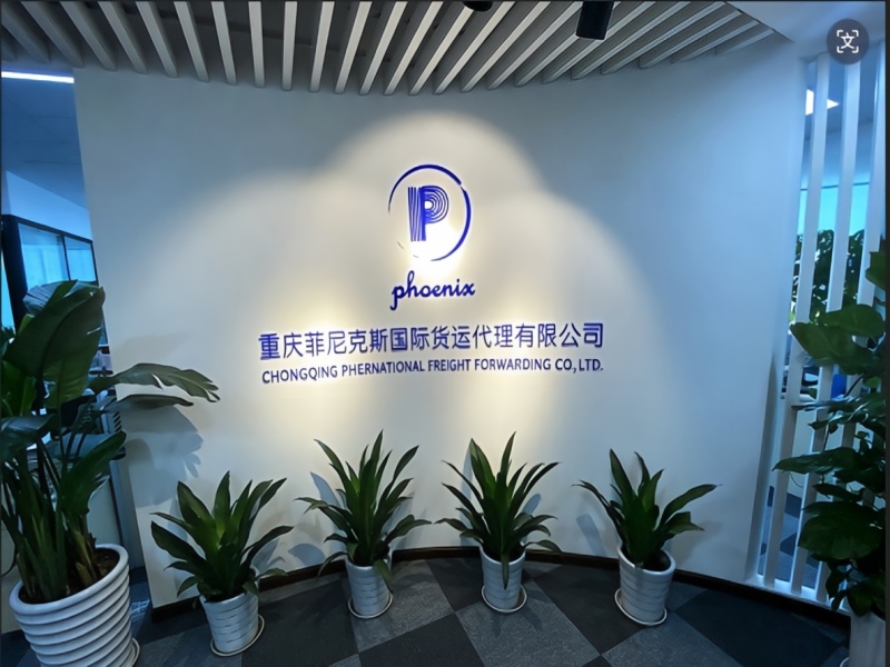 重庆菲尼克斯国际货运代理有限公司 – 企业文件加密系统部署